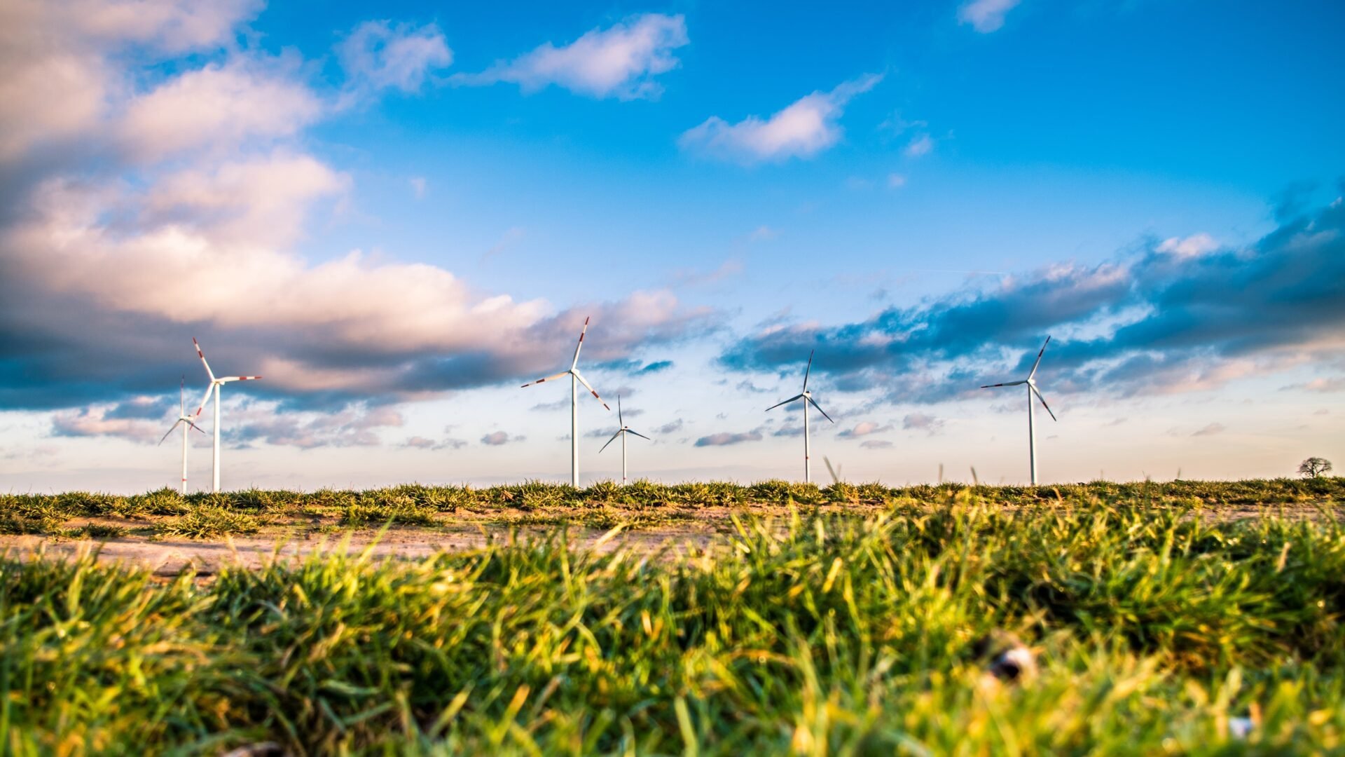 Finanzas contra el cambio climático