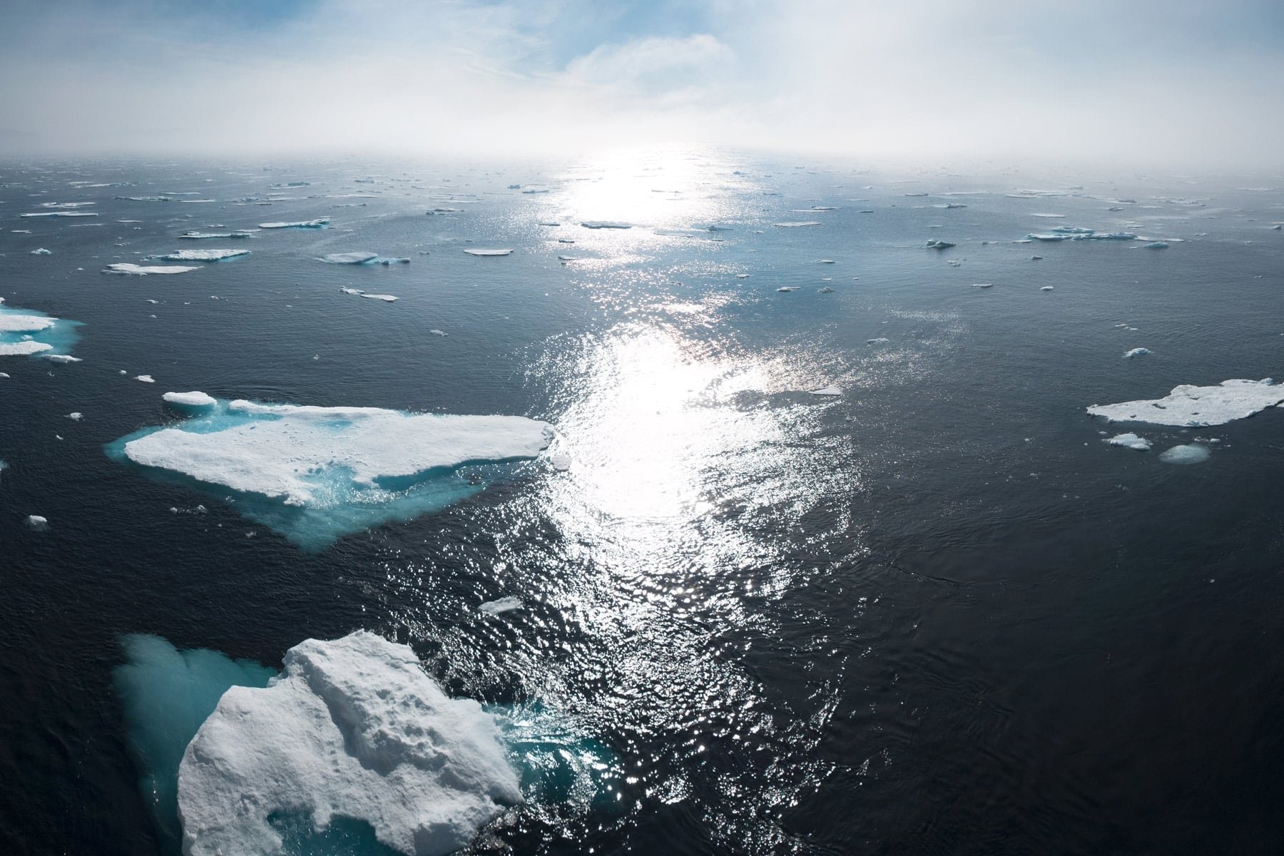 Día Mundial del Medio Ambiente ¿Tenemos algo que celebrar?