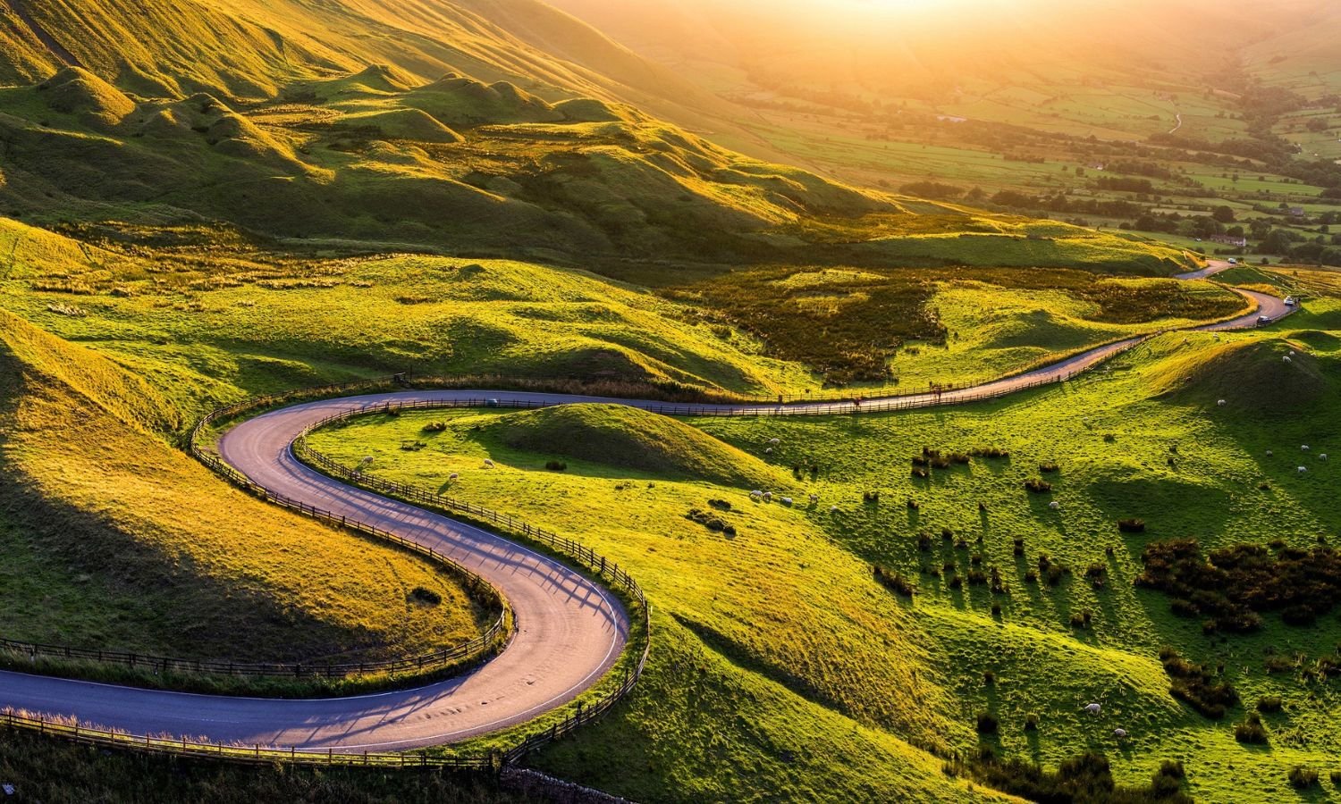 Driving Positive Impact